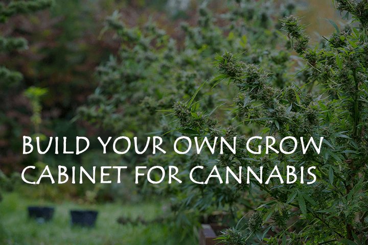 build your own grow cabinet for cannabis