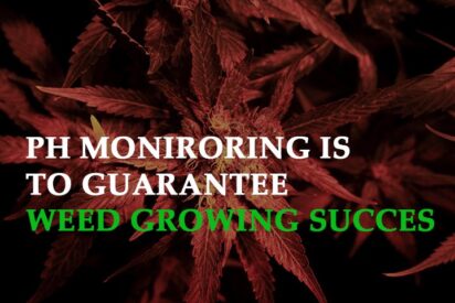 ph monitoring is essential to guarantee weed growing success