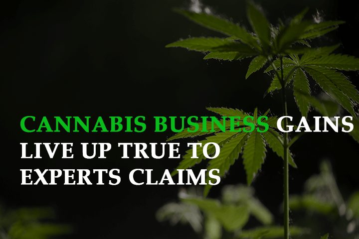 will the expected cannabis business gains live up true to experts claims