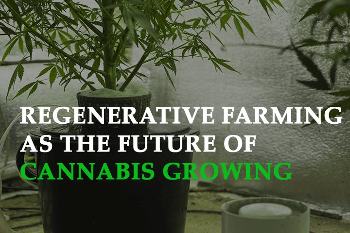 the science behind regenerative farming as the future Of cannabis growing