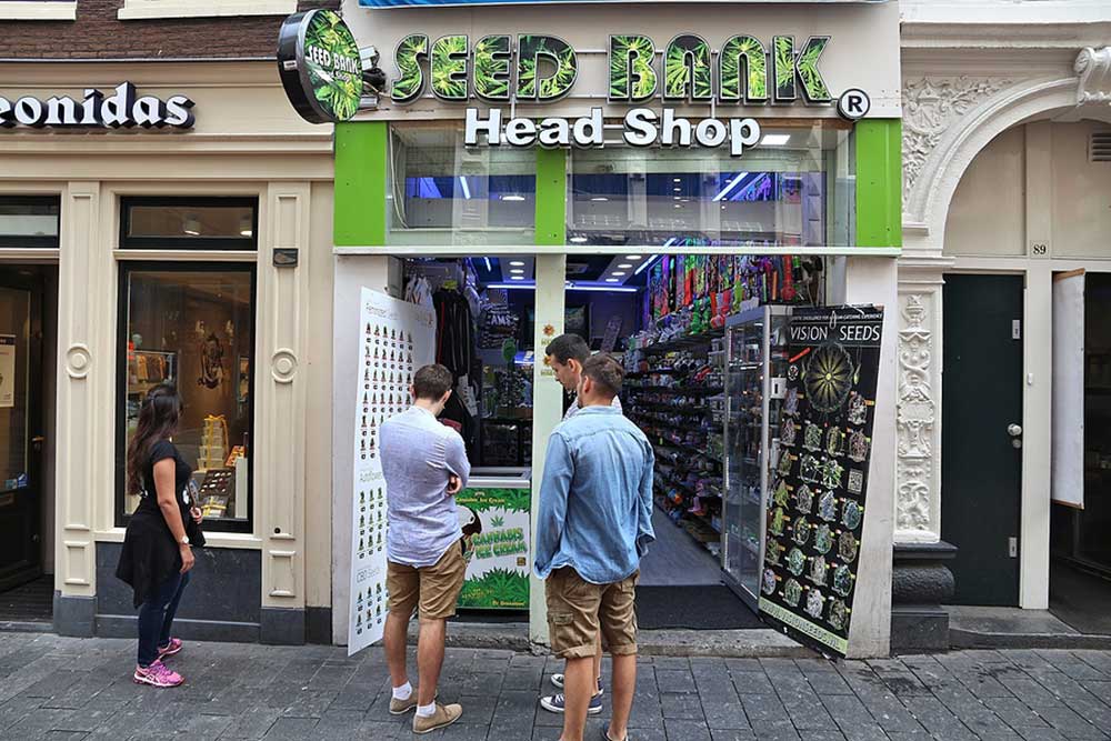 Are Seed Banks Legal in Canada
