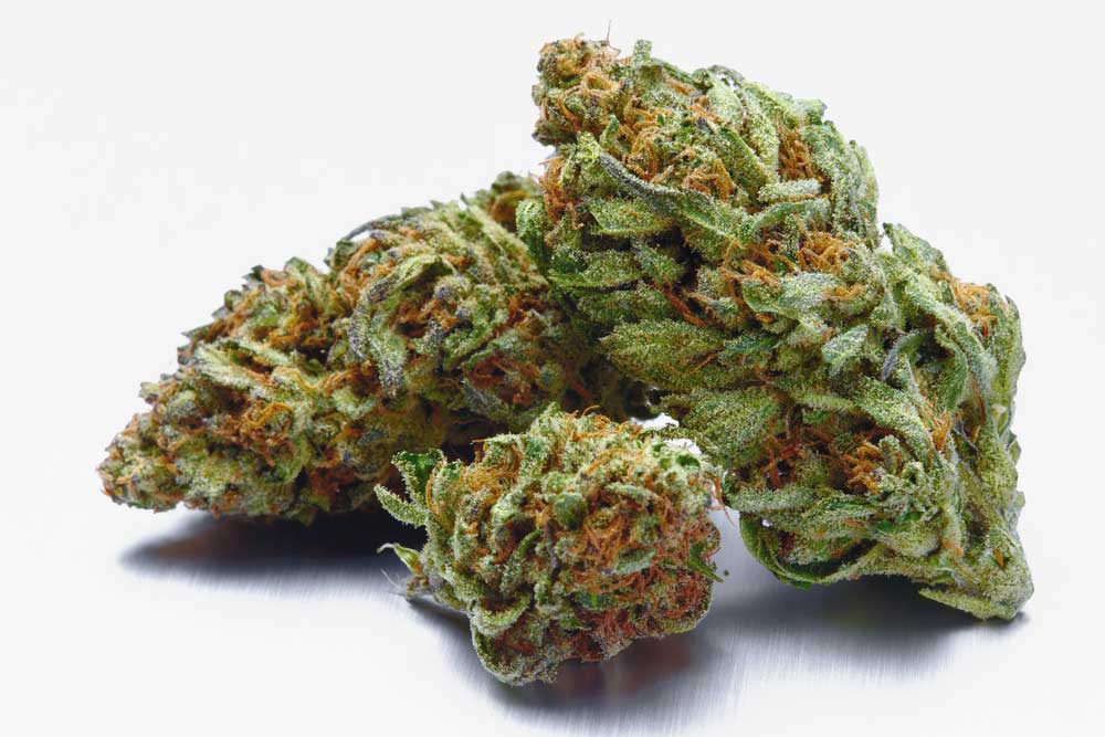 How Many Strains of Weed are There