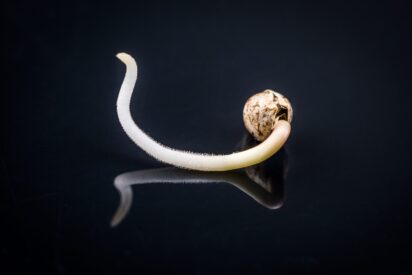 shutterstock 647020666 scaled 1