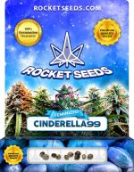 Cinderella99 Feminized