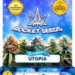 Utopia Strain Feminized