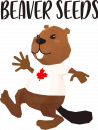beaver