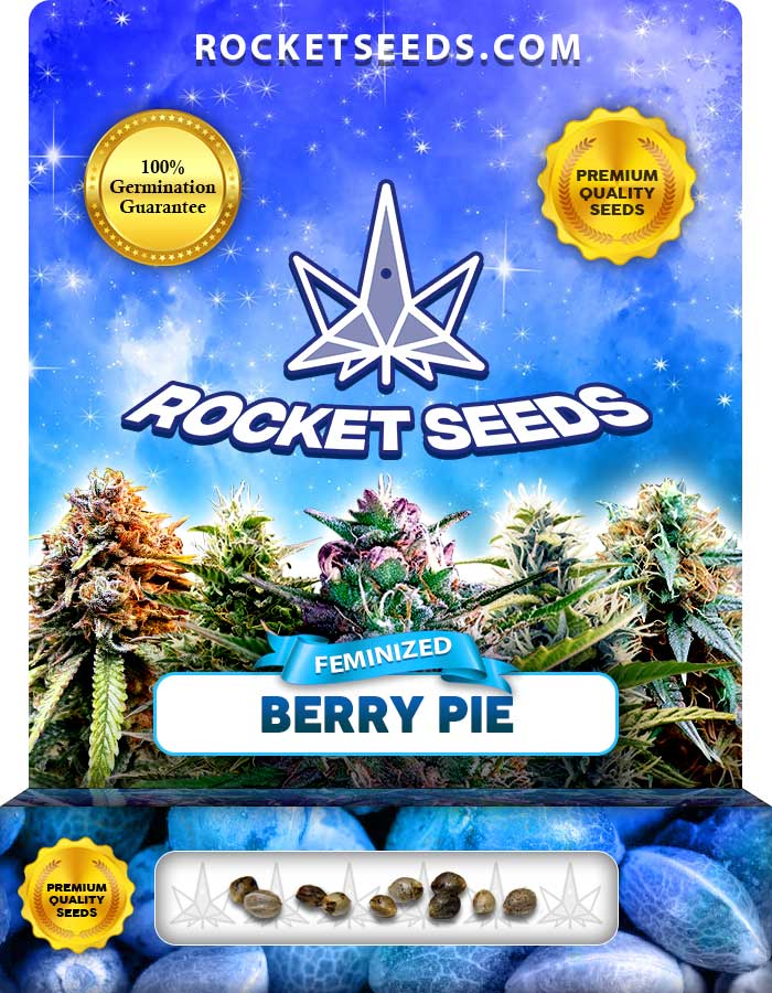 Berry Pie Strain Fast Version