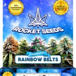 Rainbow Belts Strain Feminized