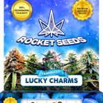 Lucky Charms Strain Feminized