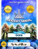 OGKB Strain Feminized