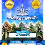 Wookies Strain Feminized