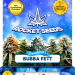 Bubba Fett Strain Feminized