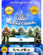 J1 Strain Feminized