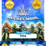 Tits Strain Feminized