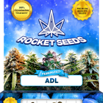 ADL Strain Feminized