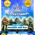 Bangers and Mac Feminized