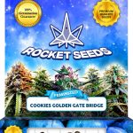 Cookies Golden Gate Bridge Feminized