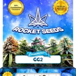 GG2 Feminized