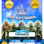 Topanga Feminized