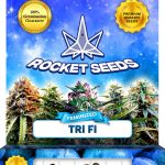 Tri Fi Feminized